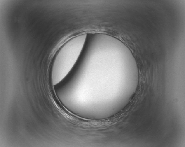 X0000081610005200701151132