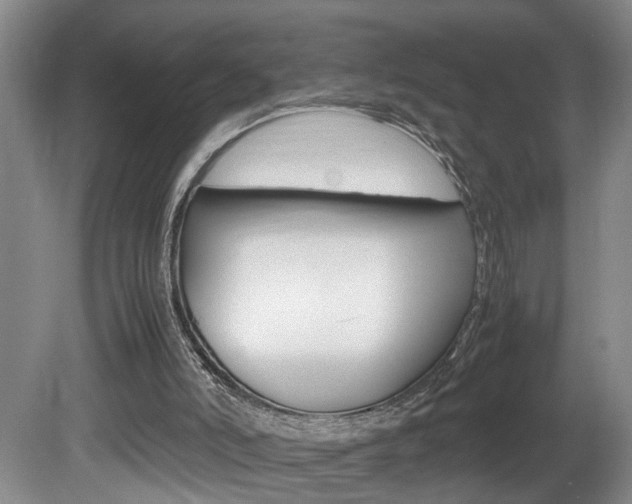 X0000081610006200701151132