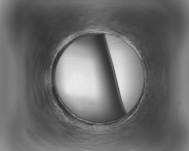 X0000081610008200701151132