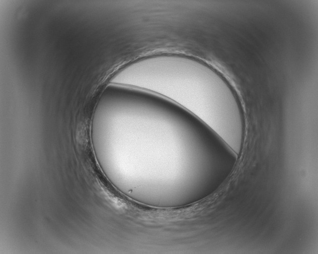 X0000081610009200701151132