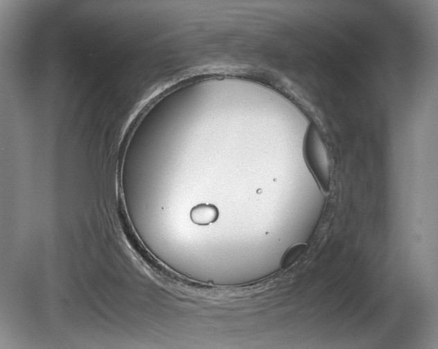 X0000081610011200701151132