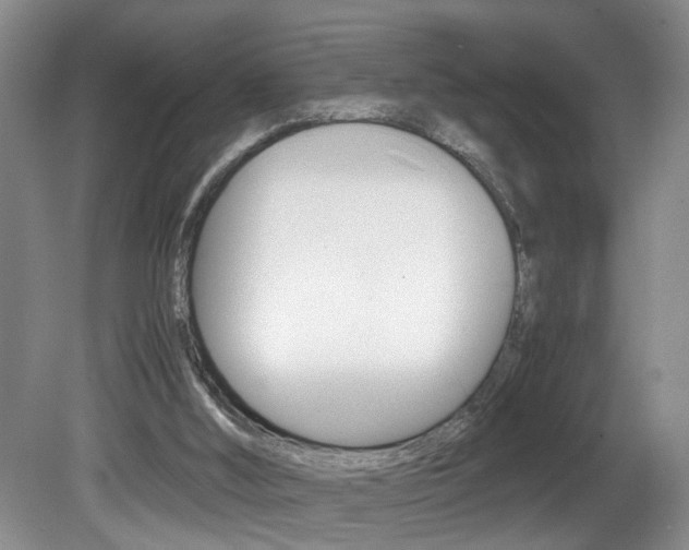 X0000081610012200701151132