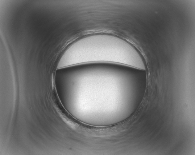 X0000081610013200701151132