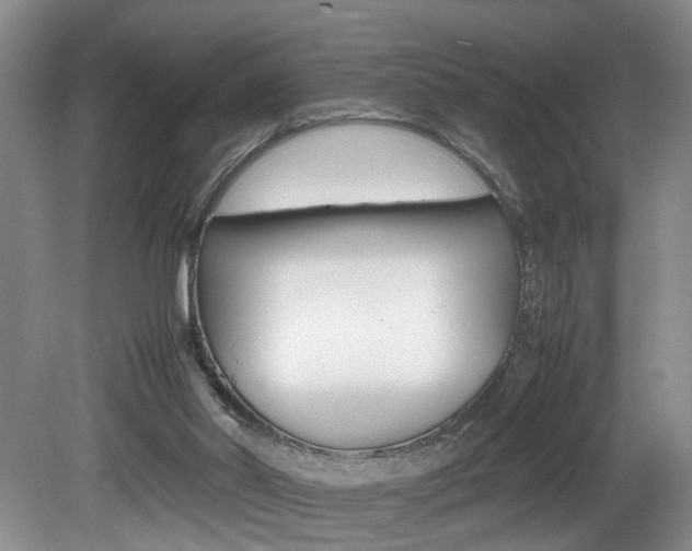 X0000081610014200701151132