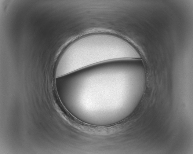 X0000081610015200701151132