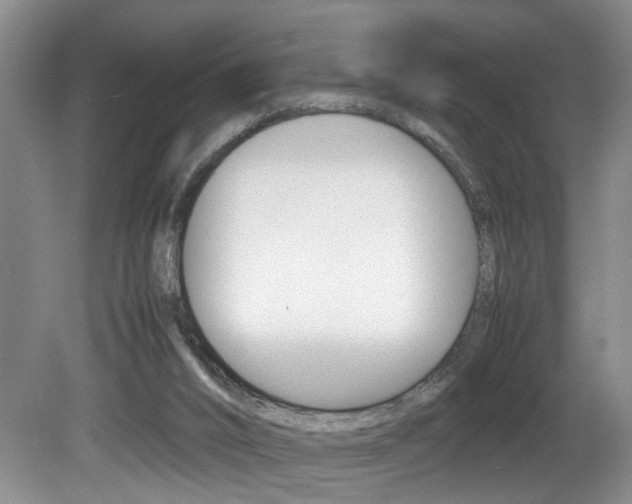 X0000081610016200701151132