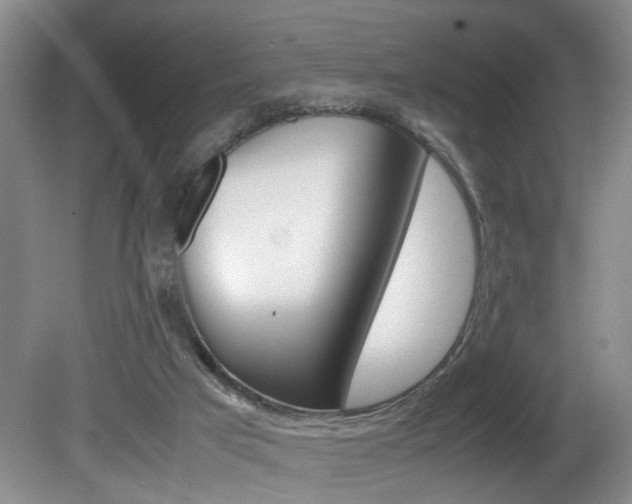 X0000081610017200701151132