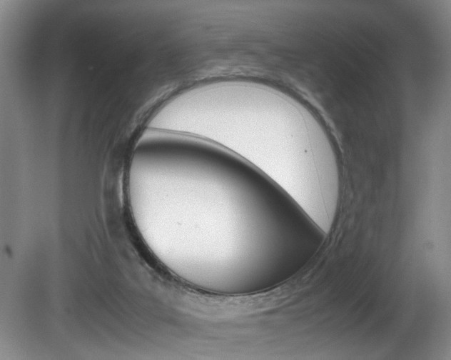 X0000081610019200701151132