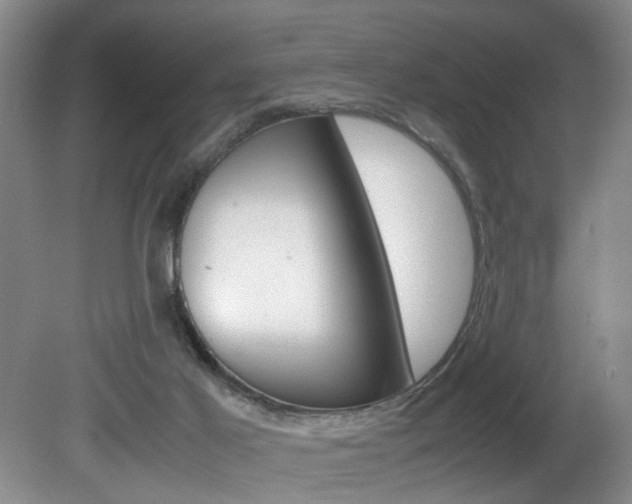 X0000081610021200701151132