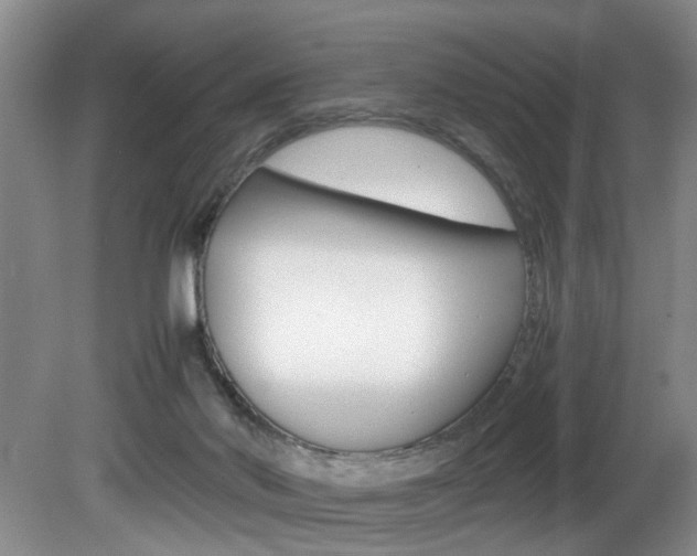 X0000081610022200701151132