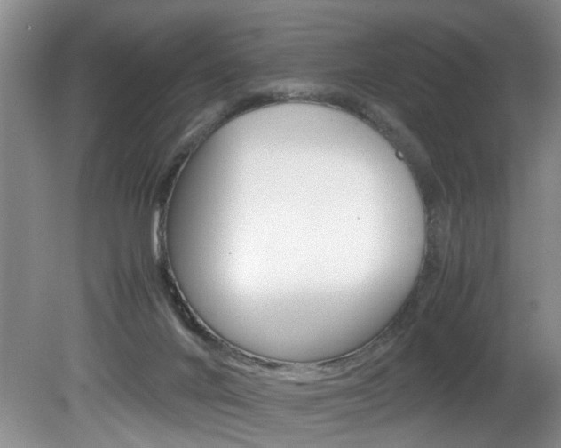 X0000081610024200701151132