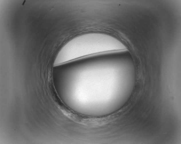 X0000081610025200701151132