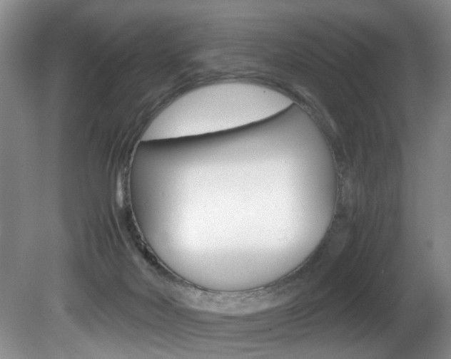 X0000081610026200701151132