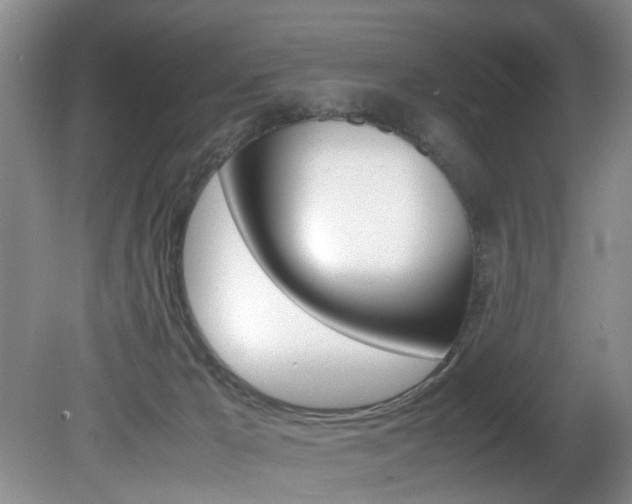 X0000081610029200701151132