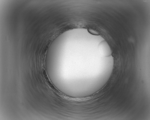 X0000081610030200701151132