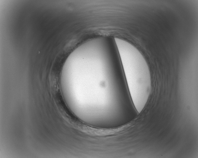 X0000081610031200701151132