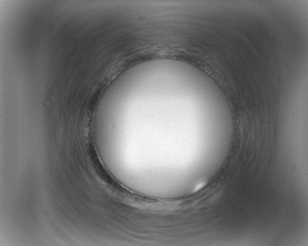 X0000081610032200701151132