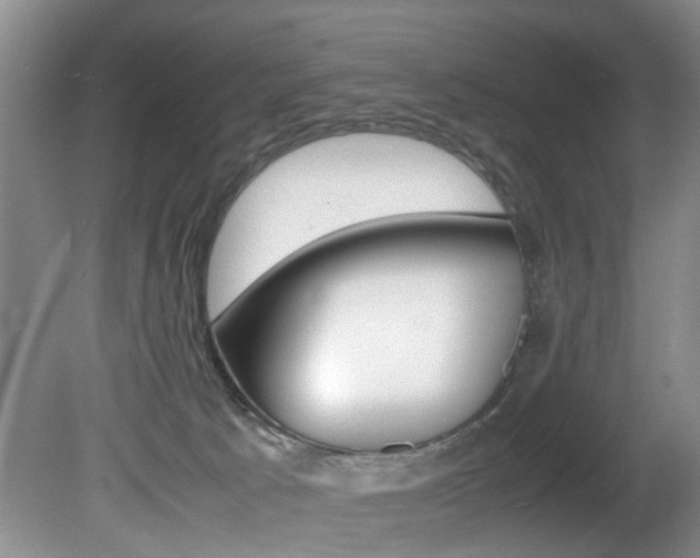 X0000081610033200701151132