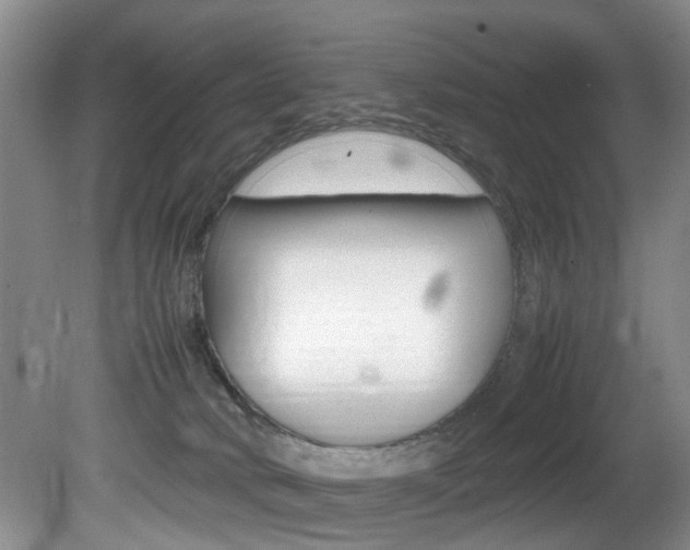 X0000081610034200701151132