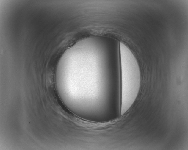 X0000081610035200701151132