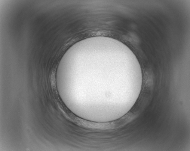 X0000081610036200701151132