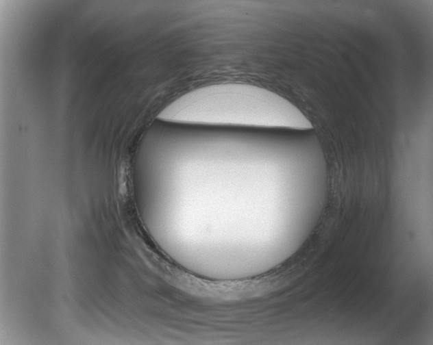 X0000081610038200701151132