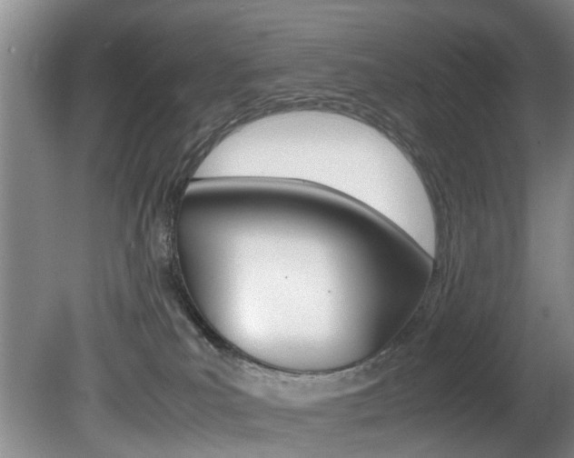 X0000081610039200701151132