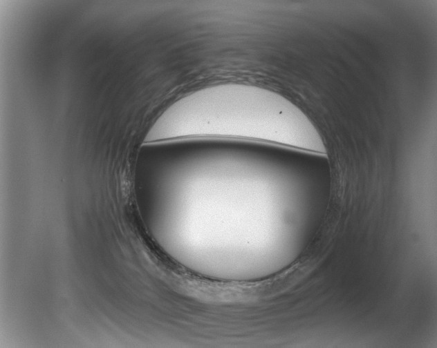 X0000081610040200701151132