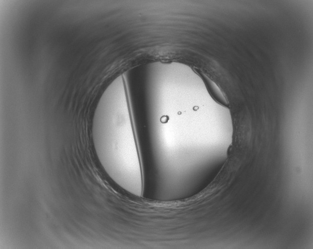 X0000081610044200701151131