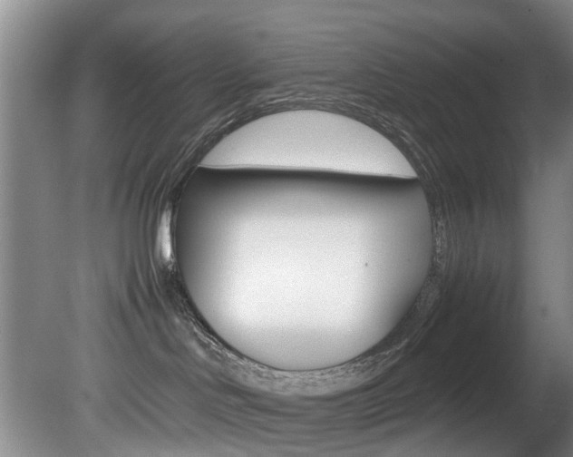 X0000081610046200701151131