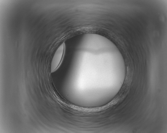 X0000081610048200701151131