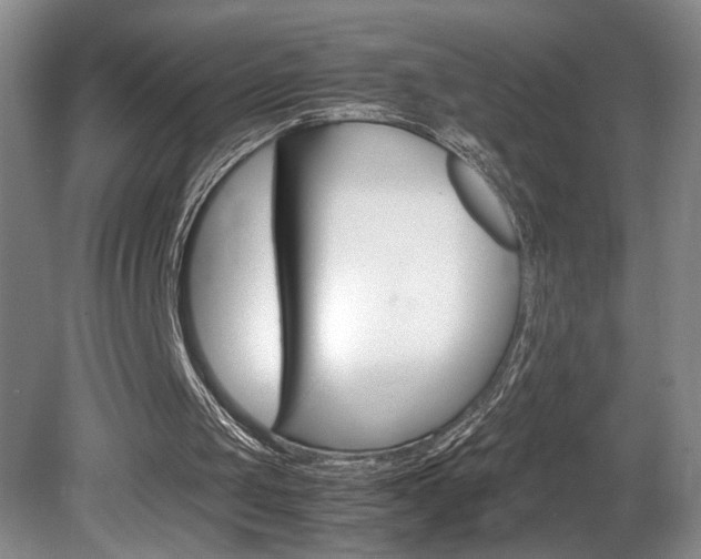 X0000081610049200701151131