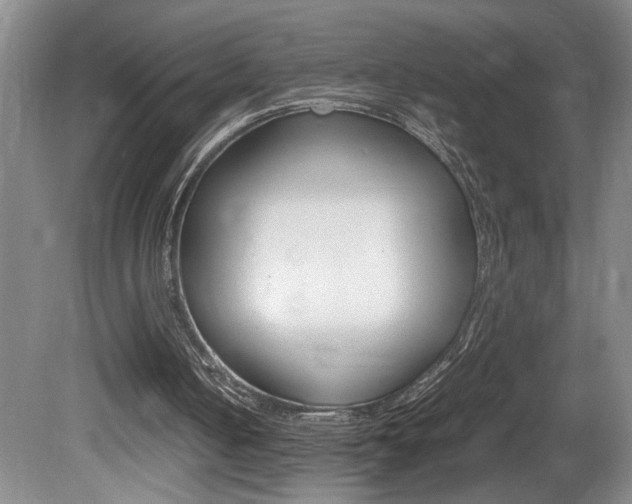 X0000081610050200701151131