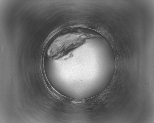 X0000081610051200701151131