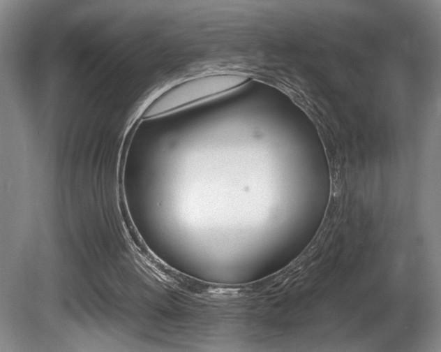 X0000081610052200701151131