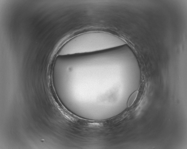 X0000081610053200701151131