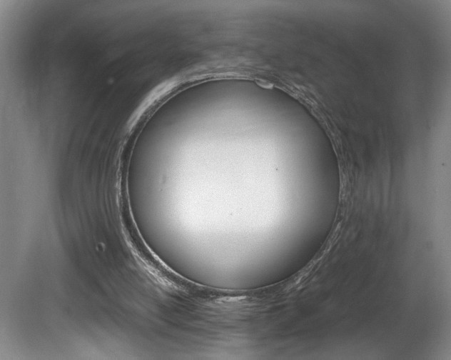 X0000081610054200701151131