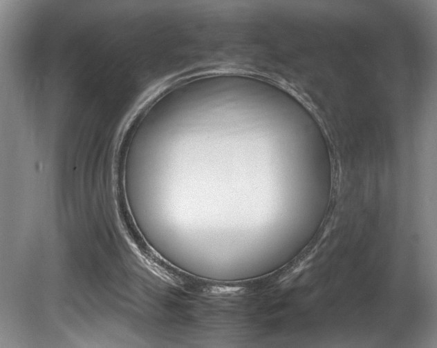 X0000081610055200701151131