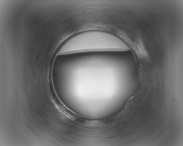 X0000081610058200701151131