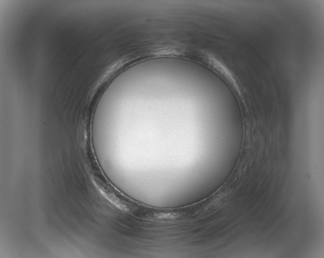 X0000081610059200701151131