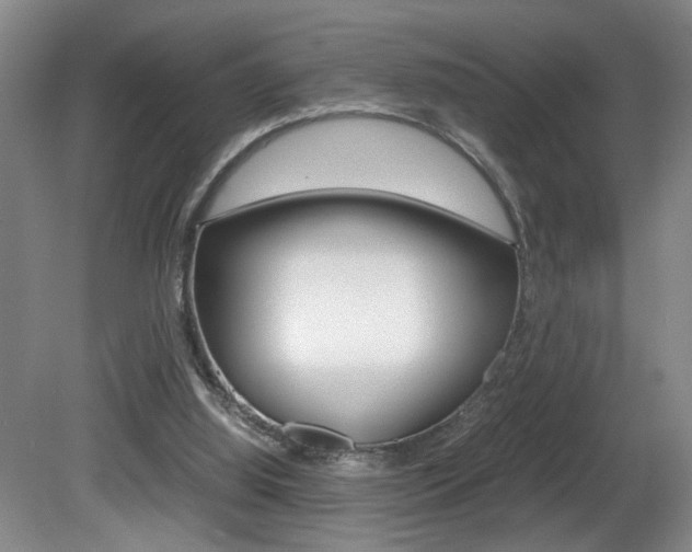 X0000081610060200701151131