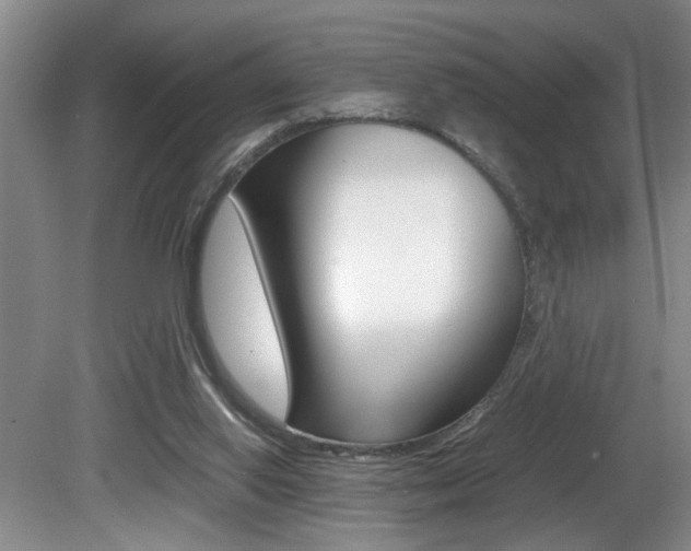 X0000081610062200701151131