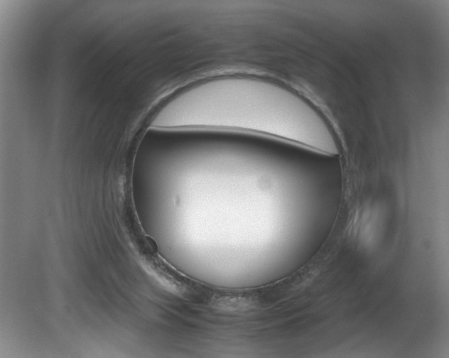 X0000081610063200701151131