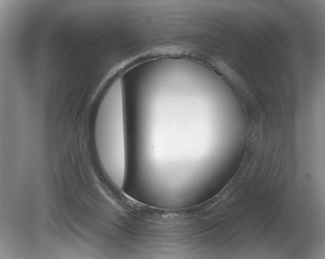 X0000081610064200701151131