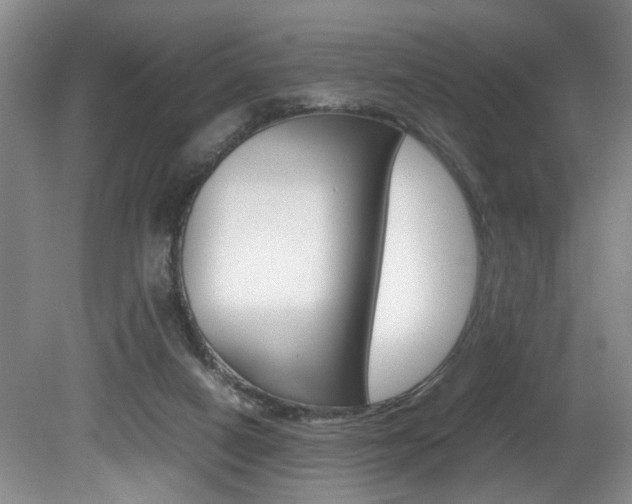 X0000081610066200701151131