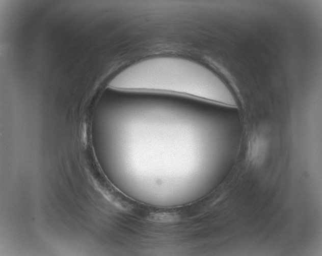 X0000081610067200701151131