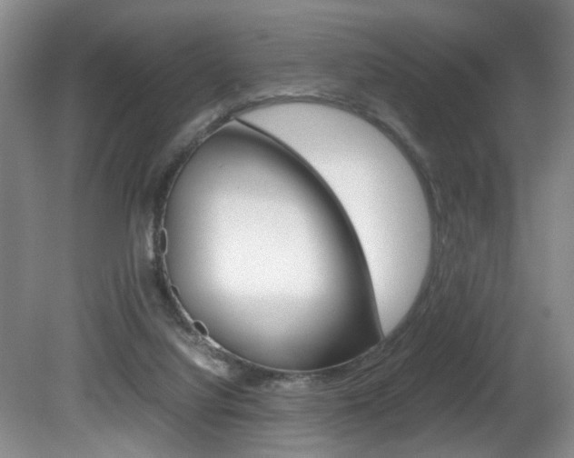 X0000081610068200701151131