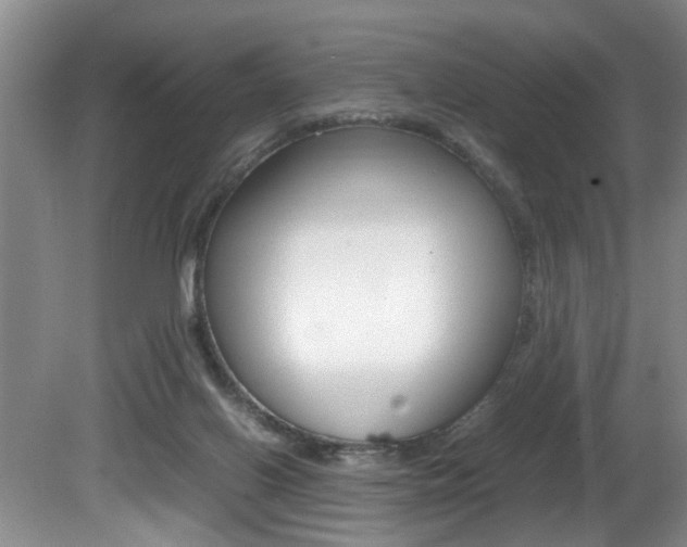 X0000081610070200701151131