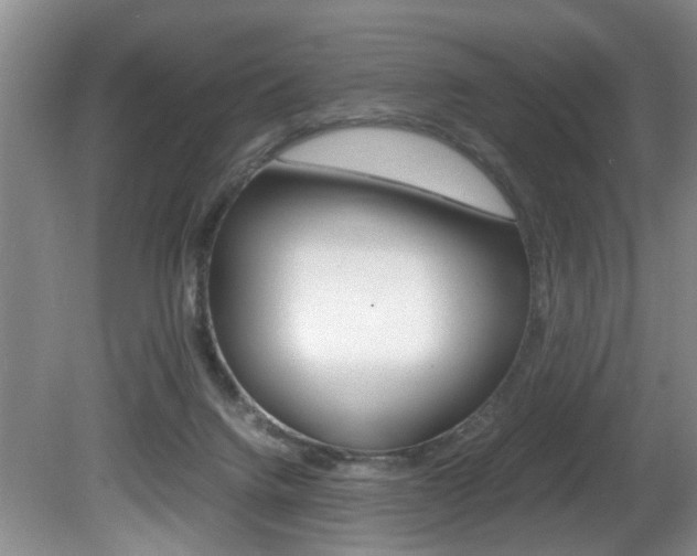 X0000081610072200701151131