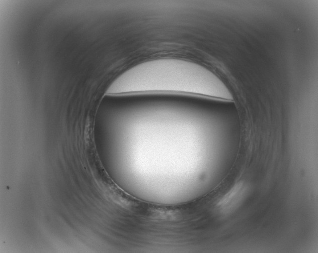 X0000081610073200701151131